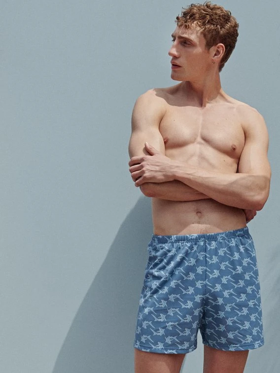 Calida Prints Jersey-Boxershorts Ohne Eingriff 3 Calida Prints Jersey-Boxershorts Ohne Eingriff – Bild 3