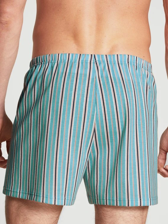 Calida Prints Jersey-Boxershorts Ohne Eingriff 2 Calida Prints Jersey-Boxershorts Ohne Eingriff - Image 2